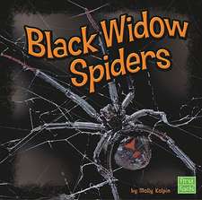 Black Widow Spiders