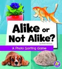 Alike or Not Alike?: A Photo Sorting Game