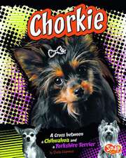 Chorkie: A Cross Between a Chihuahua and a Yorkshire Terrier