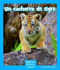 Un Cachorro de Tigre