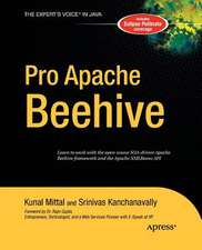 Pro Apache Beehive