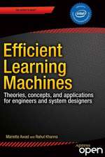 Efficient Learning Machines: Theories, Concepts, and Applications for Engineers and System Designers