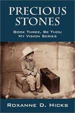 Precious Stones: Book Three, Be Thou My Vision Series