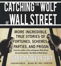 Catching the Wolf of Wall Street: More Incredible True Stories of Fortunes, Schemes, Parties, and Prison