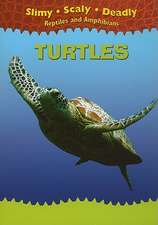 Turtles