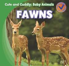 Fawns