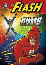 The Flash: Killer Kaleidoscope