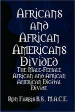 Africans and African Americans Divided: The Male-Female African and African American Digital Divide