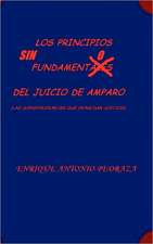 Los Principios Sin Fundamento del Juicio de Amparo. (Las Jurisprudencias Que Deniegan Justicia)