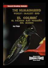 The Hummingbird/El Colibri