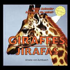 Giraffes/Jirafas