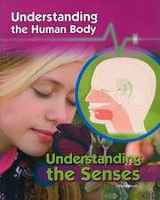 Understanding the Senses