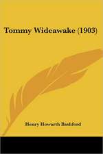 Tommy Wideawake (1903)