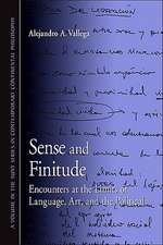 Sense and Finitude