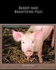 Buddy and Brighteyes Pigg: A Romance of an Old World