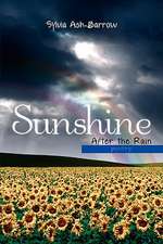 Sunshine After the Rain: Poetry