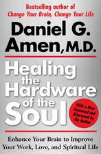 Healing the Hardware of the Soul: Enhance Your Brain to Improve Your Work, Love, and Spiritual Life