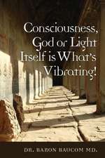 Consciousness, God or Light Itself Is What's Vibrating!: How the Bible Reveals Reincarnation