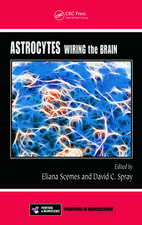 Astrocytes: Wiring the Brain