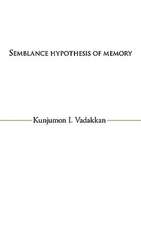 Semblance Hypothesis of Memory