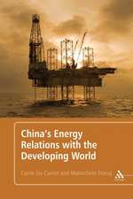 China's Energy Relations with the Developing World