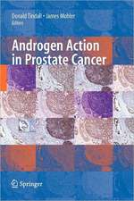 Androgen Action in Prostate Cancer