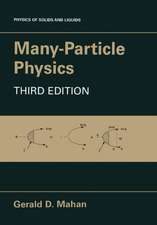 Many-Particle Physics