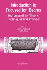 Introduction to Focused Ion Beams: Instrumentation, Theory, Techniques and Practice