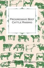 Progressive Beef Cattle Raising