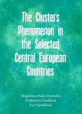 The Clusters Phenomenon in the Selected Central European Countries