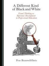 A Different Kind of Black and White: Visual Thinking as Epistemic Development in Professional Education