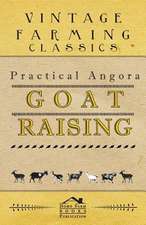 Practical Angora Goat Raising