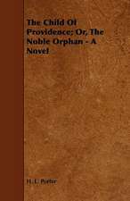 The Child of Providence; Or, the Noble Orphan - A Novel