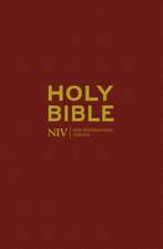 NIV Popular Bible