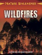 Spilsbury, L: Nature Unleashed: Wildfires