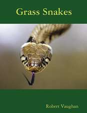 Grass Snakes