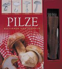 Pilze