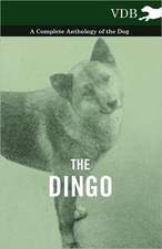 The Dingo - A Complete Anthology of the Dog -