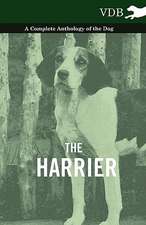 The Harrier - A Complete Anthology of the Dog