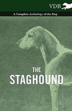 The Staghound - A Complete Anthology of the Dog