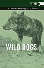 Wild Dogs - A Complete Anthology of the Breeds