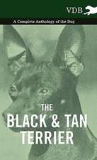 The Black and Tan Terrier - A Complete Anthology of the Dog -