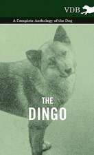 The Dingo - A Complete Anthology of the Dog -