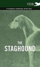 The Staghound - A Complete Anthology of the Dog