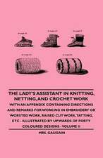 The Lady's Assistant in Knitting, Netting, and Crochet Work - With an Appendix Containing Directions and Remarks for Working in Embroidery or Worsted Work, Raised Cut Work, Tatting, etc - Illustrated by Upwards of Forty Coloured Designs - Volume II