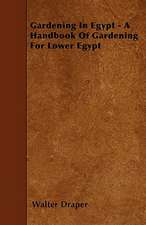 Gardening In Egypt - A Handbook Of Gardening For Lower Egypt