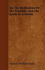 On The Realisation Of The Possible, And The Spirit Of Aristotle