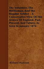 The Volunteer, The Militiaman, And The Regular Soldier - A Conservative View Of The Armies Of England, Past, Present, And Future, As Seen In January 1874