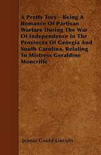 A Pretty Tory - Being A Romance Of Partisan Warfare During The War Of Independence In The Provinces Of Georgia And South Carolina, Relating To Mistress Geraldine Moncriffe