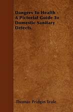 Dangers To Health - A Pictorial Guide To Domestic Sanitary Defects.